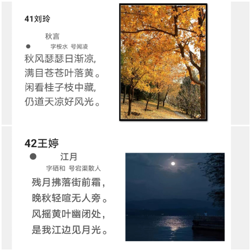 11.jpg 11.jpg
